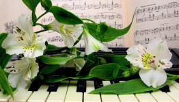 Литературный конкурс «Посвящаю маме»