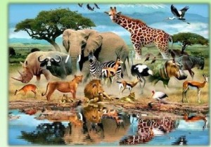 Викторина «Эти забавные животные»