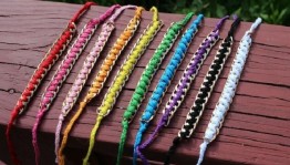 Краеведческая программа «Путешествие по родному краю»