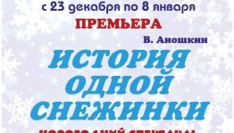 Башкирский государственный театр кукол приглашает на новогодний спектакль «История одной снежинки»