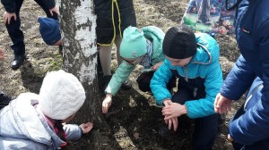 Экскурсия в весенний лес «Вместе весело шагать!»