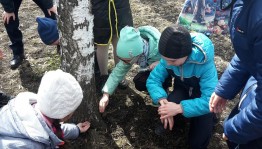 Экскурсия в весенний лес «Вместе весело шагать!»