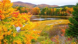 «Краски осени»
