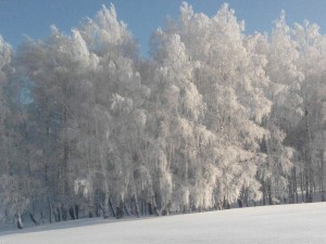 Викторина Новогодняя мозайка
