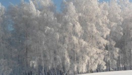 Викторина Новогодняя мозайка