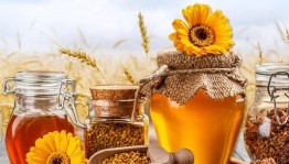 Прямая трансляция «Медовый спас - здоровья припас»