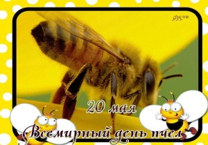 «Всемирный день пчёл»