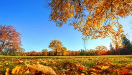 Фотовыставка «Золотая осень»