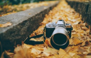 Фотосессия «Осенний марафон»