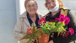 Милые учителя