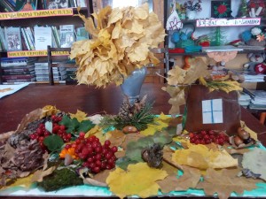 Книжная выставка и экспозиция «В природе столько красоты»