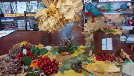 Книжная выставка и экспозиция «В природе столько красоты»