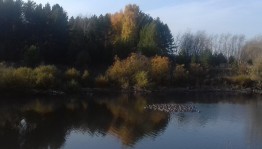 Устный журнал «Осенний вальс природы»