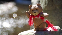 Мастер–класс«Шарфик для мишутки»