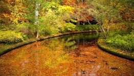 Игра-викторина «Красота осенней поры!»