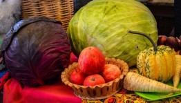 Развлекательная программа«Осенний сад»