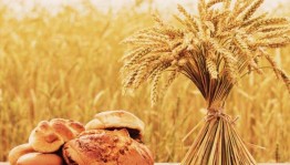 Праздничный концерт «Хвала рукам, что пахнут хлебом!»