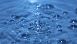 Лекция «О свойствах воды»