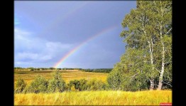 Историческая экскурсия «Мой край родной - частица Родины большой»