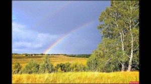 Историческая экскурсия «Мой край родной - частица Родины большой»