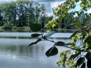 Конкурс рисунков «Моя Россия»
