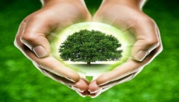 Познавательная программа«Жить в согласии с природой»