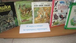 Экологическая азбука«Листая страницы про птиц и зверей»