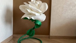 «Ростковая роза»