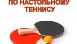 Турнир по настольному теннису среди подростков