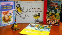 Экологический час «Синичкин день»