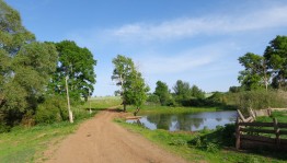 Патриоты России