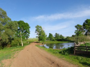 Патриоты России