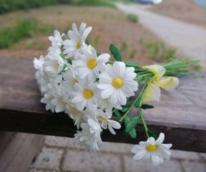 Мастер–класс«Букет из ромашки».