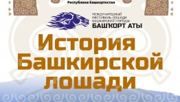 Экспозиция «История башкирской лошади» будет выставлена на Международном фестивале «Башҡорт аты»