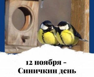 Экологический час «Синичкин день»