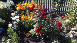 «Цветочное очарование» фотоконкурс.