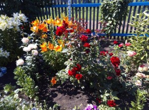 «Цветочное очарование» фотоконкурс.