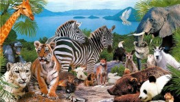 Интеллектуальная программа «Невероятные факты из жизни...»