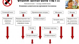«Скажи алкоголю нет»