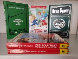 Обзор книжной полки «Учитель на страницах книг»