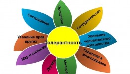 тематическая полка«Мы разные,но мы вместе»