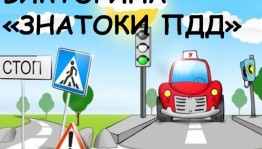 Викторина на тему:«Знатоки ПДД»
