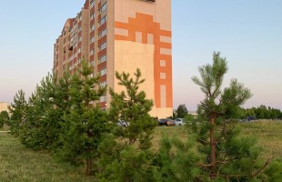 В Агидели продолжается работа над муралом «Всадники» в рамках фестиваля «ФормАРТ»