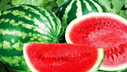 Развлекательно-игровая программа «Веселый арбузник»