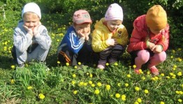 «Удивительный мир природы»