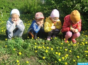 «Удивительный мир природы»