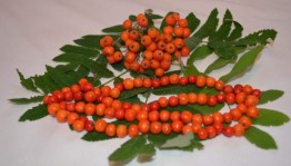 Викторина «Осенний блюз»