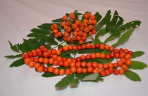 Викторина «Осенний блюз»