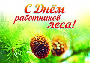 Спортивно-экологическая эстафета «День работника леса»