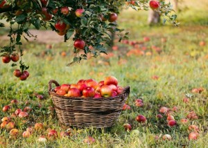 Познавательный час «Преобразователь природы»